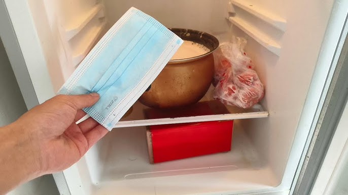 L&yacute; do n&ecirc;n đặt một chiếc khẩu trang y tế v&agrave;o tủ lạnh - Ảnh 1.