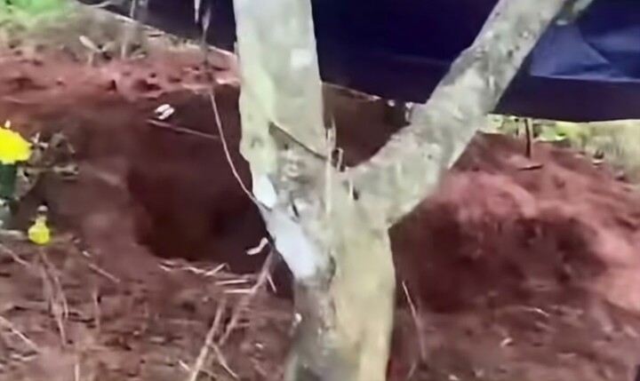 Bắt giam thầy gi&aacute;o thể dục giết nh&acirc;n vi&ecirc;n thư viện ở Đắk Lắk - Ảnh 2.