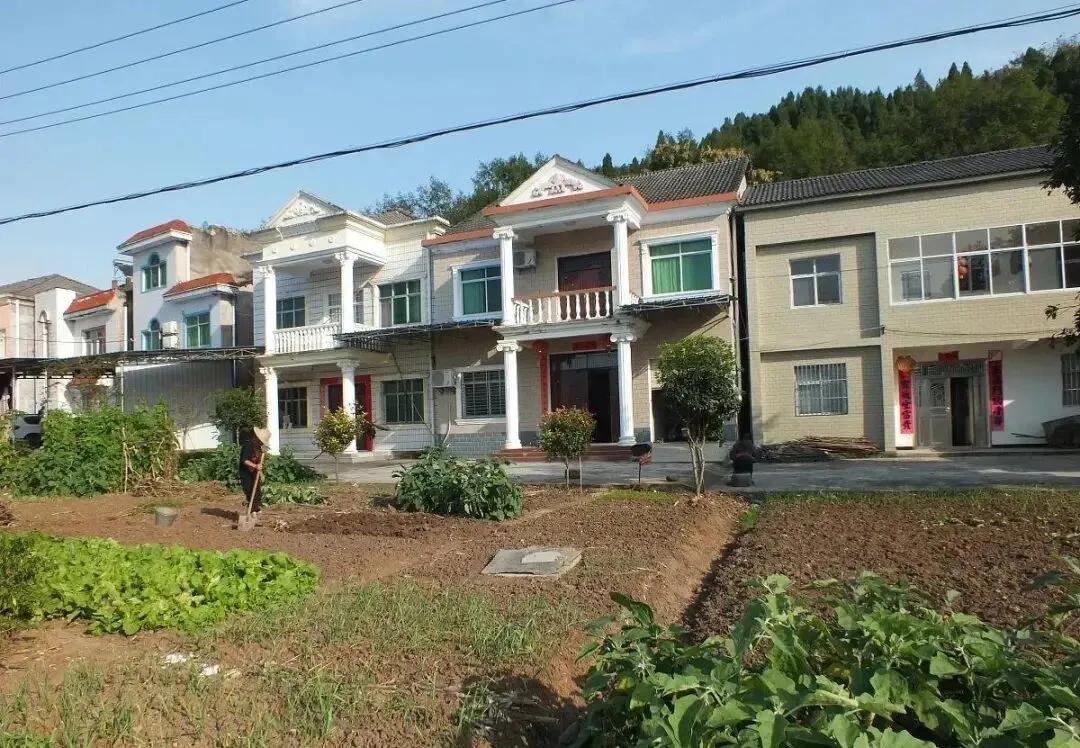 Bán căn nhà cũ ở quê được một khoản tiền, nhiều năm sau tôi mới hiểu mình đã bán cả một nơi để trở về - Ảnh 1.
