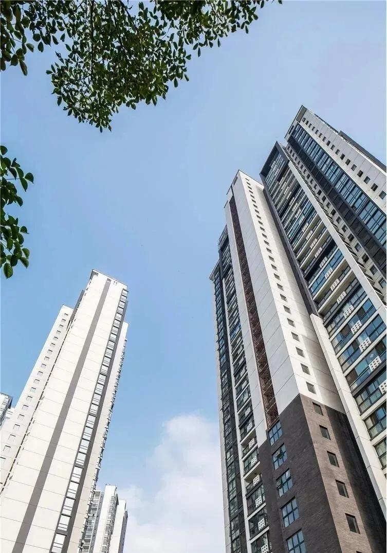 3 năm trước nhất quyết kh&ocirc;ng mua căn hộ tầng cao, giờ t&ocirc;i c&agrave;ng thấy quyết định ấy kh&ocirc;ng hề sai - Ảnh 5.