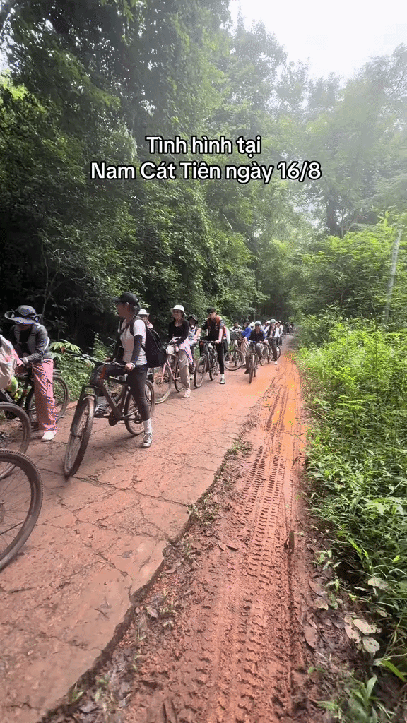 Cảnh tượng đ&ocirc;ng đ&uacute;c tại rừng Nam C&aacute;t Ti&ecirc;n như giờ cao điểm ở th&agrave;nh phố - Ảnh 2.