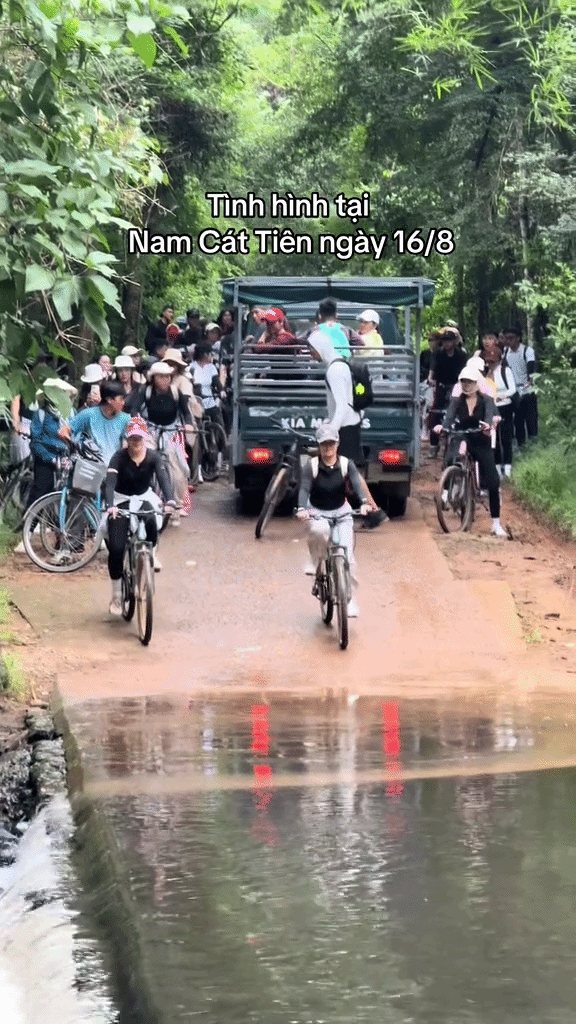 Cảnh tượng đ&ocirc;ng đ&uacute;c tại rừng Nam C&aacute;t Ti&ecirc;n như giờ cao điểm ở th&agrave;nh phố - Ảnh 4.