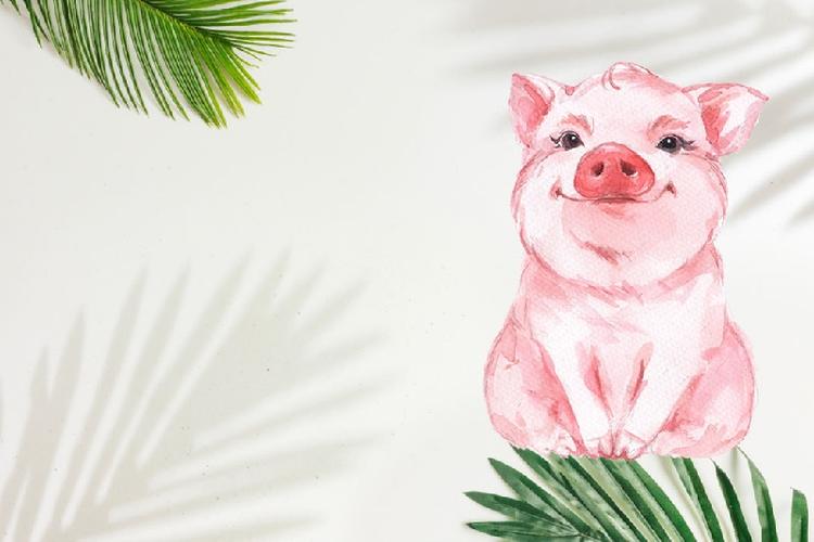 Tháng cô hồn có 2 con giáp khởi vận giàu sang, tiền nong rủng rỉnh, 2 con giáp lại cần thận trọng- Ảnh 4.