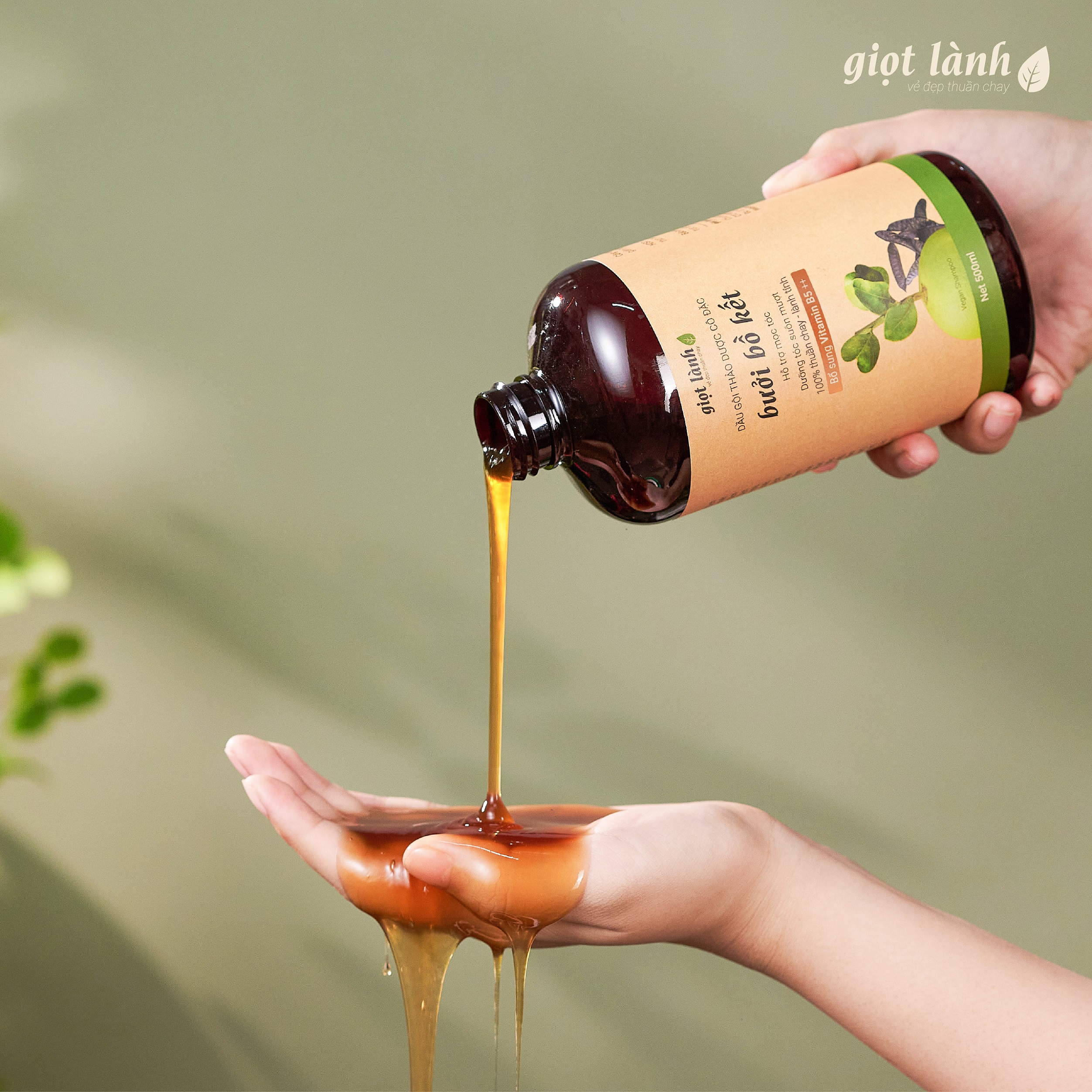 5 dầu gội bồ kết 