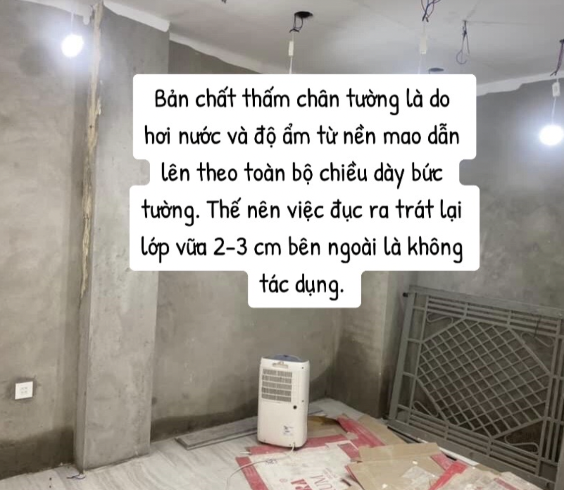 ẩm ướt - Ảnh 2.