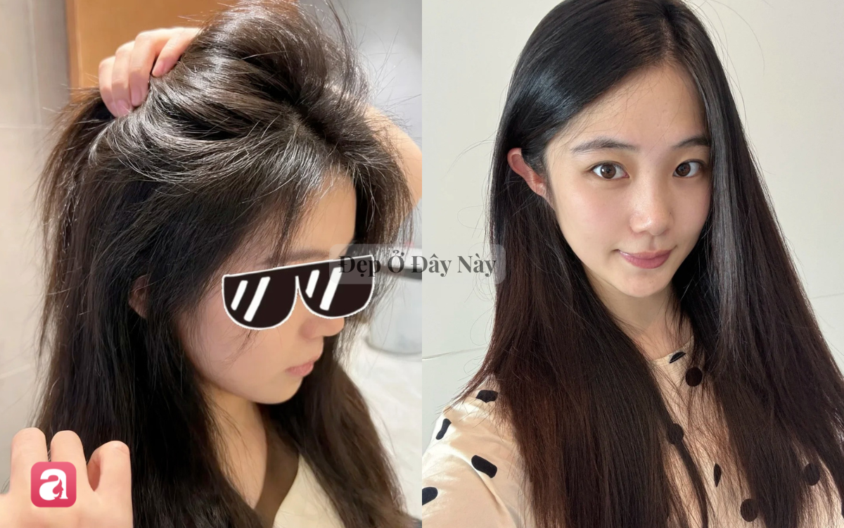 5 dầu gội bồ kết 