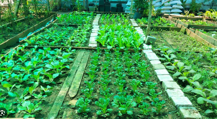 T&ocirc;i nhờ mẹ chồng l&ecirc;n ở c&ugrave;ng v&agrave; hứa gửi b&agrave; 6 triệu/th&aacute;ng nhưng b&agrave; n&oacute;i một c&acirc;u khiến dự định tan t&agrave;nh - Ảnh 1.