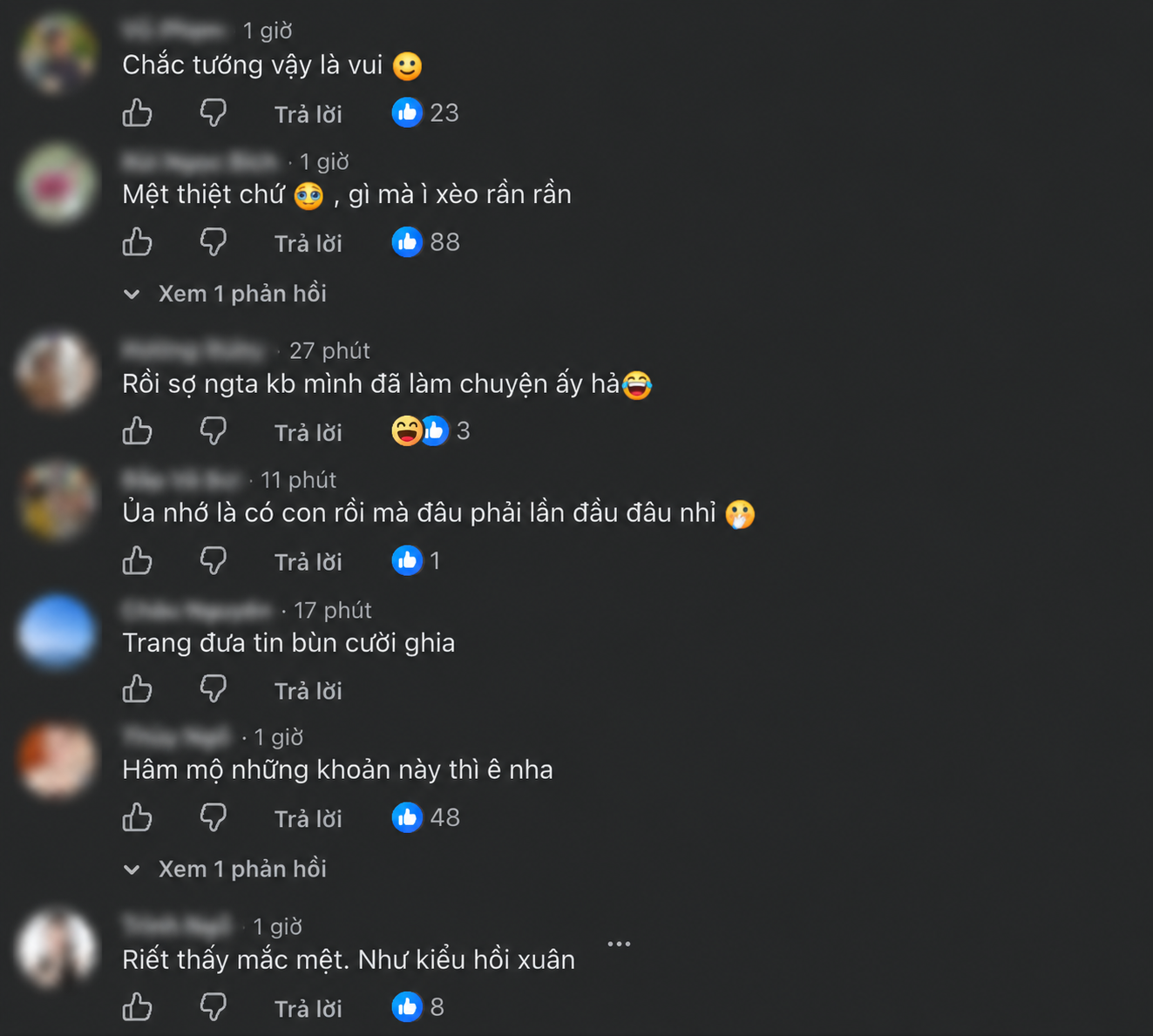  - Ảnh 4.