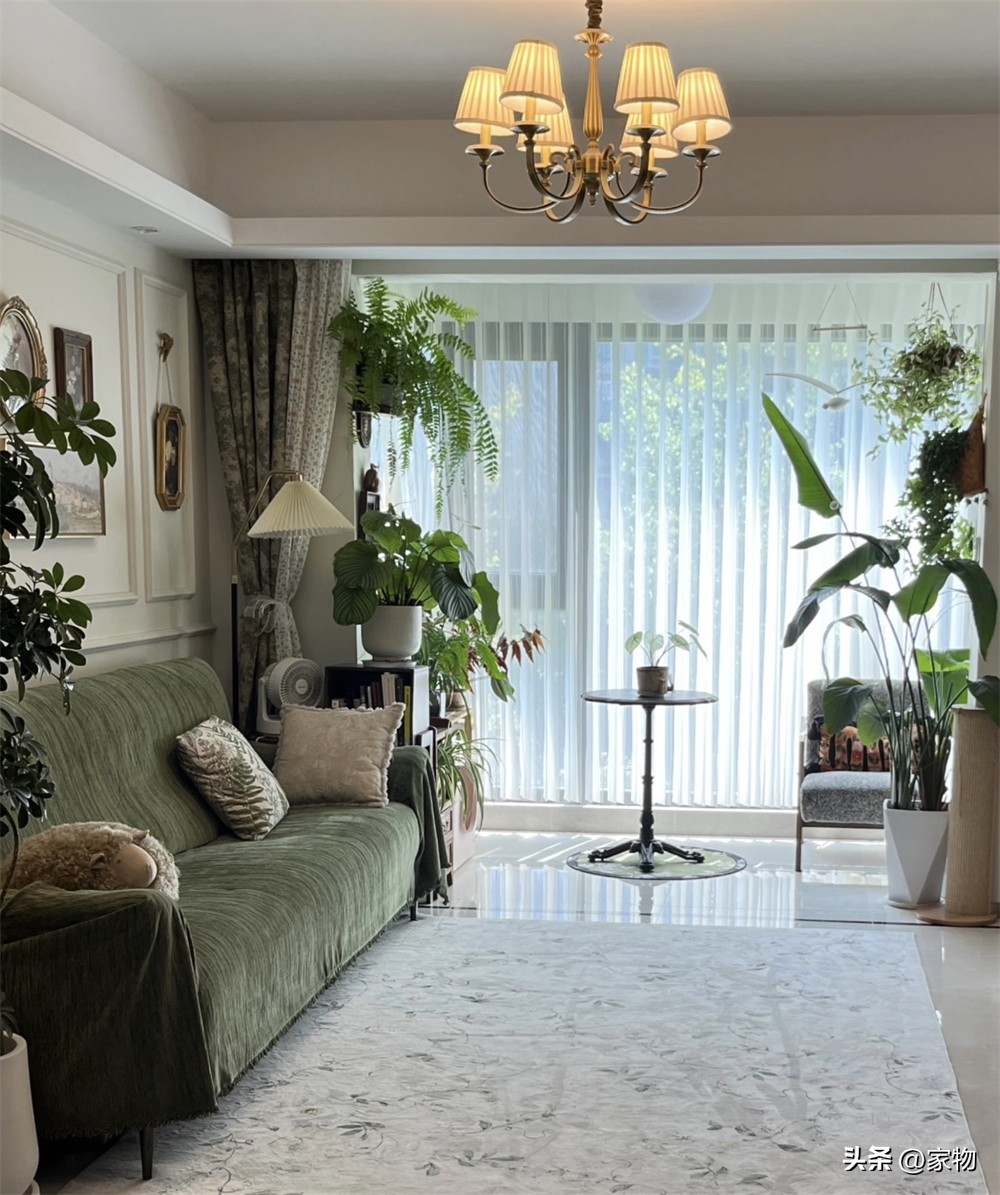 Ng&ocirc;i nh&agrave; &ldquo;ngập tr&agrave;n c&acirc;y xanh&rdquo; của c&ocirc; g&aacute;i trẻ g&acirc;y sốt: Gần 100 chậu c&acirc;y phủ k&iacute;n ph&ograve;ng kh&aacute;ch v&agrave; ban c&ocirc;ng, c&agrave;ng nh&igrave;n c&agrave;ng thấy thư th&aacute;i - Ảnh 3.