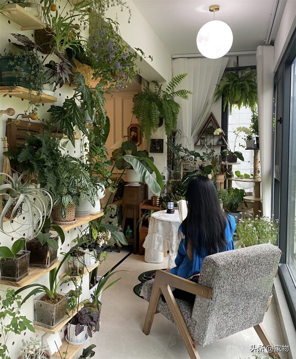 Ng&ocirc;i nh&agrave; &ldquo;ngập tr&agrave;n c&acirc;y xanh&rdquo; của c&ocirc; g&aacute;i trẻ g&acirc;y sốt: Gần 100 chậu c&acirc;y phủ k&iacute;n ph&ograve;ng kh&aacute;ch v&agrave; ban c&ocirc;ng, c&agrave;ng nh&igrave;n c&agrave;ng thấy thư th&aacute;i - Ảnh 10.