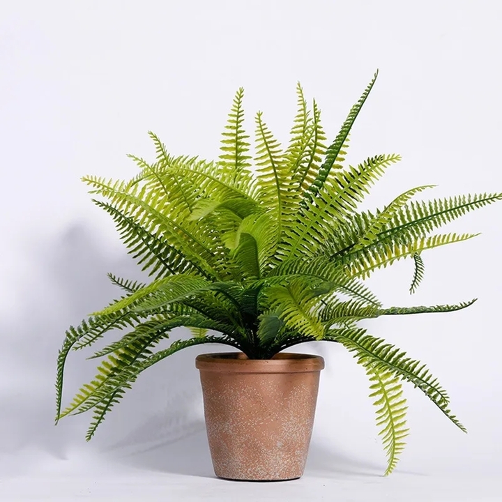 5 Lọai c&acirc;y trồng trong nh&agrave; gi&uacute;p lọc kh&ocirc;ng kh&iacute; hiệu quả cho kh&ocirc;ng gian sống trong l&agrave;nh - Ảnh 4.