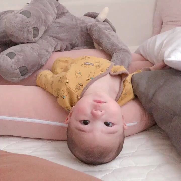  - Ảnh 4.