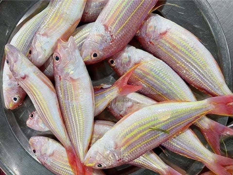 4 Lọai c&aacute; g&acirc;y ung thư bạn kh&ocirc;ng n&ecirc;n ăn trong năm 2026 - Ảnh 3.
