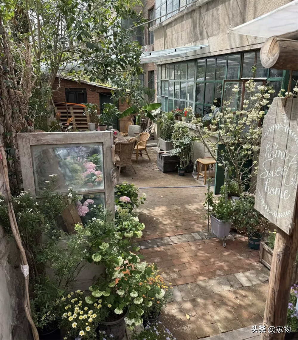 Bị ch&ecirc; v&igrave; mua căn hộ tầng trệt xuống cấp, c&ocirc; g&aacute;i cải tạo ng&acirc;n s&aacute;ch thấp v&agrave; nhận lại một ng&ocirc;i nh&agrave; ai cũng m&ecirc; - Ảnh 2.