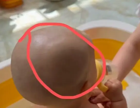  - Ảnh 1.