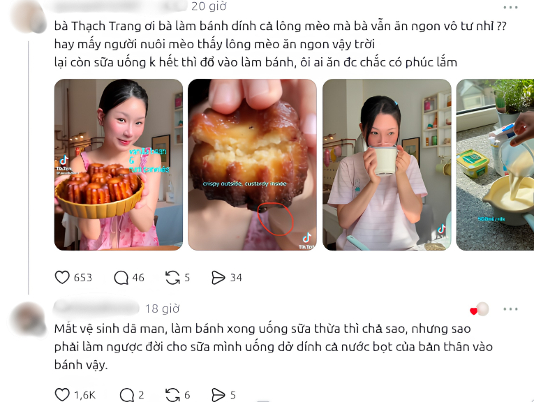 Thạch Trang nấu ăn g&acirc;y tranh c&atilde;i: B&aacute;nh d&iacute;nh l&ocirc;ng m&egrave;o v&agrave; sữa uống dở - Ảnh 2.