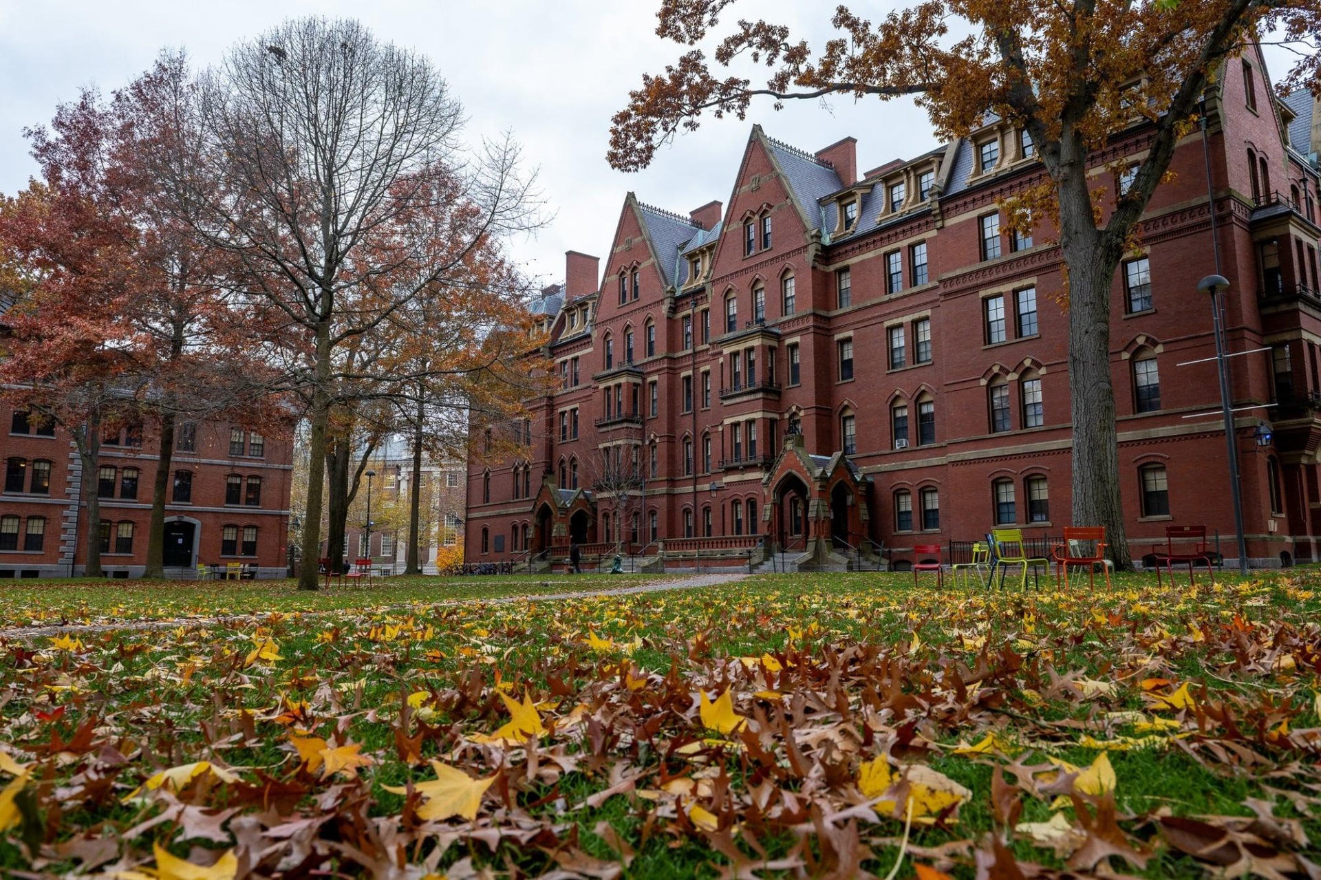 B&ecirc;n trong k&yacute; t&uacute;c x&aacute; ĐH Harvard: Kh&aacute;m ph&aacute; trải nghiệm sống v&agrave; học tập năm 2026 - Ảnh 2.