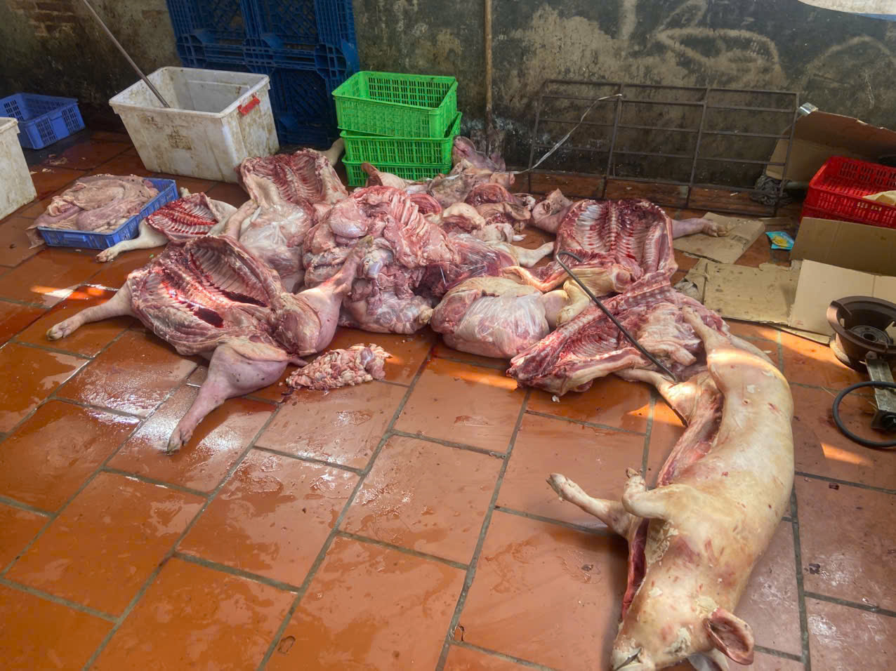 Gần 1 tấn thịt lợn chết bị ph&aacute;t hiện tại Hưng Y&ecirc;n: Vi phạm an to&agrave;n thực phẩm - Ảnh 1.