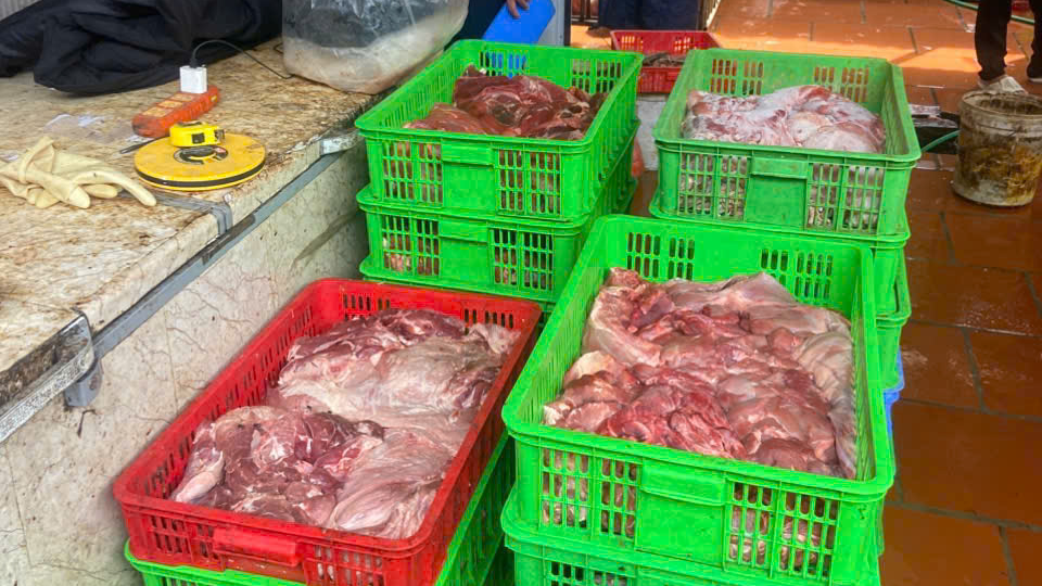 Gần 1 tấn thịt lợn chết bị ph&aacute;t hiện tại Hưng Y&ecirc;n: Vi phạm an to&agrave;n thực phẩm - Ảnh 2.