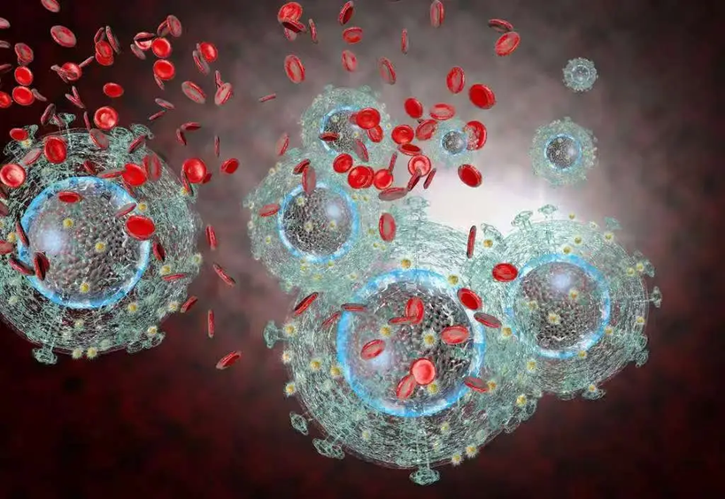 Nữ CEO 36 tuổi bất ngờ ph&aacute;t hiện nhiễm HIV, chồng c&ocirc; đau l&ograve;ng n&oacute;i: &ldquo;T&ocirc;i đ&atilde; thuyết phục nhưng c&ocirc; ấy kh&ocirc;ng chịu nghe&rdquo; - Ảnh 2.