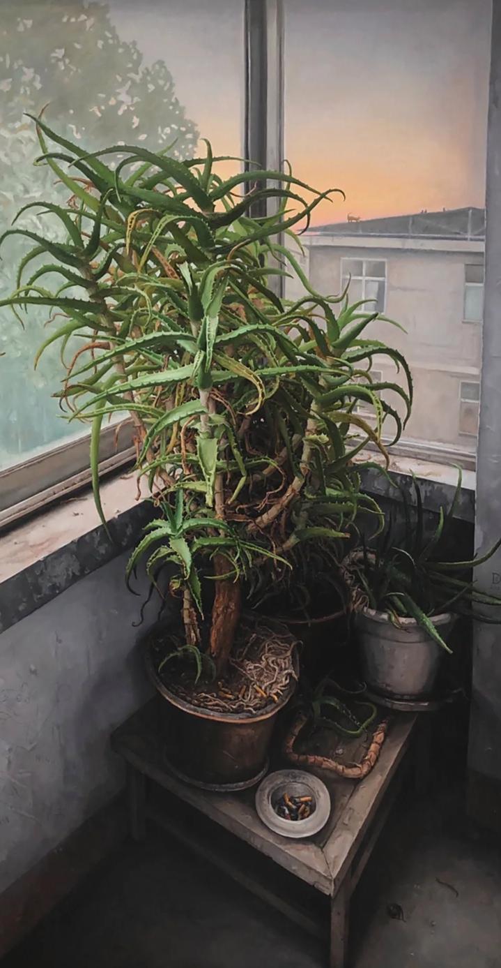 C&acirc;y nha đam 28 năm tuổi h&eacute;o kh&ocirc; suốt 2 năm bỗng bật chồi, c&aacute;ch xử l&yacute; của người b&agrave; khiến d&acirc;n mạng nể phục - Ảnh 1.