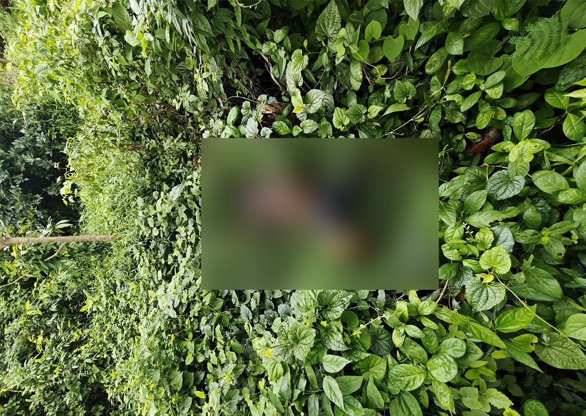 Huỳnh Nhật Hào sát hại người bán vé số cướp 450 . 000 Đồng tại An Giang - Ảnh 1. Huỳnh Nhật Hào sát hại người bán vé số cướp 450 . 000 Đồng tại An Giang - Ảnh 1.