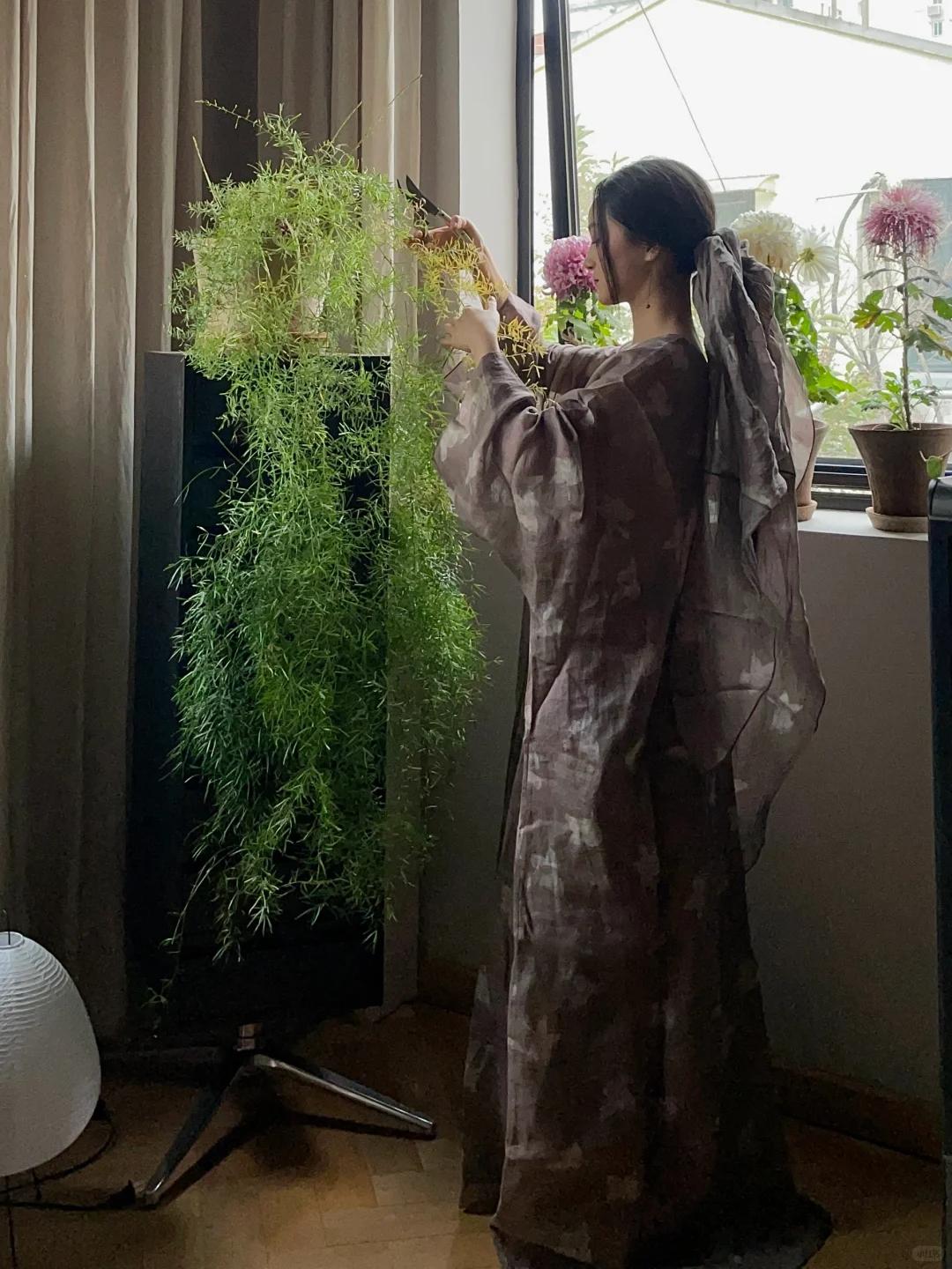 Người phụ nữ chỉ đặt một chậu c&acirc;y 4 năm tuổi trong ph&ograve;ng kh&aacute;ch, ai bước v&agrave;o đều khen: &ldquo;Nh&igrave;n th&ocirc;i đ&atilde; thấy thư th&aacute;i&rdquo; - Ảnh 1.