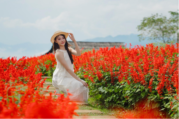 Tháng 8 này, ghé Fansipan ngắm dải lụa đỏ hoa xác pháo rực rỡ giữa biển mây - Ảnh 4. Tháng 8 này, ghé Fansipan ngắm dải lụa đỏ hoa xác pháo rực rỡ giữa biển mây - Ảnh 4.