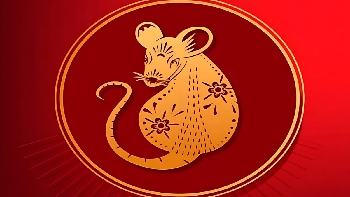 Tài vận sau tuổi 40 của 12 con giáp: 3 con giáp càng lớn càng có của, 1 con giáp cần thay đổi cách quản lý tiền - Ảnh 4.