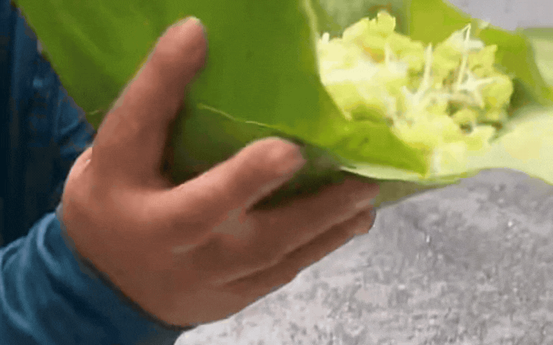 Khách Trung Quốc mê mẩn thức quà mùa thu này ở Hà Nội: Chỉ bán theo mùa, ăn một lần là nhớ mãi - Ảnh 3.