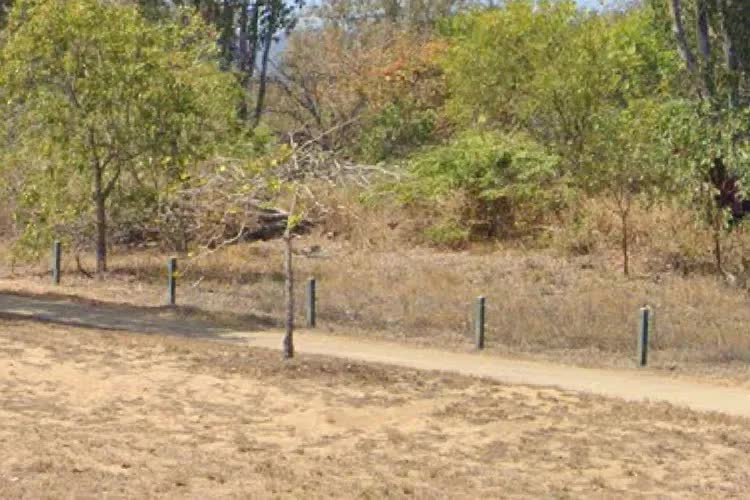 Ph&aacute;t hiện một thiếu ni&ecirc;n bị tra tấn, quấn trong nilon v&agrave; tr&oacute;i v&agrave;o c&acirc;y trong bụi rậm - Ảnh 1.