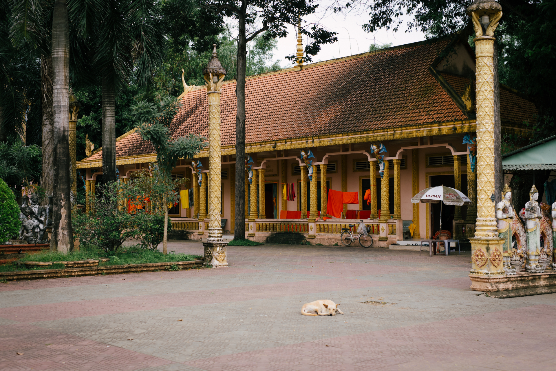 Lượng kh&aacute;ch tăng vọt đến Tr&agrave; Vinh sau MV Phương Mỹ Chi với ảnh check - in đẹp - Ảnh 38.