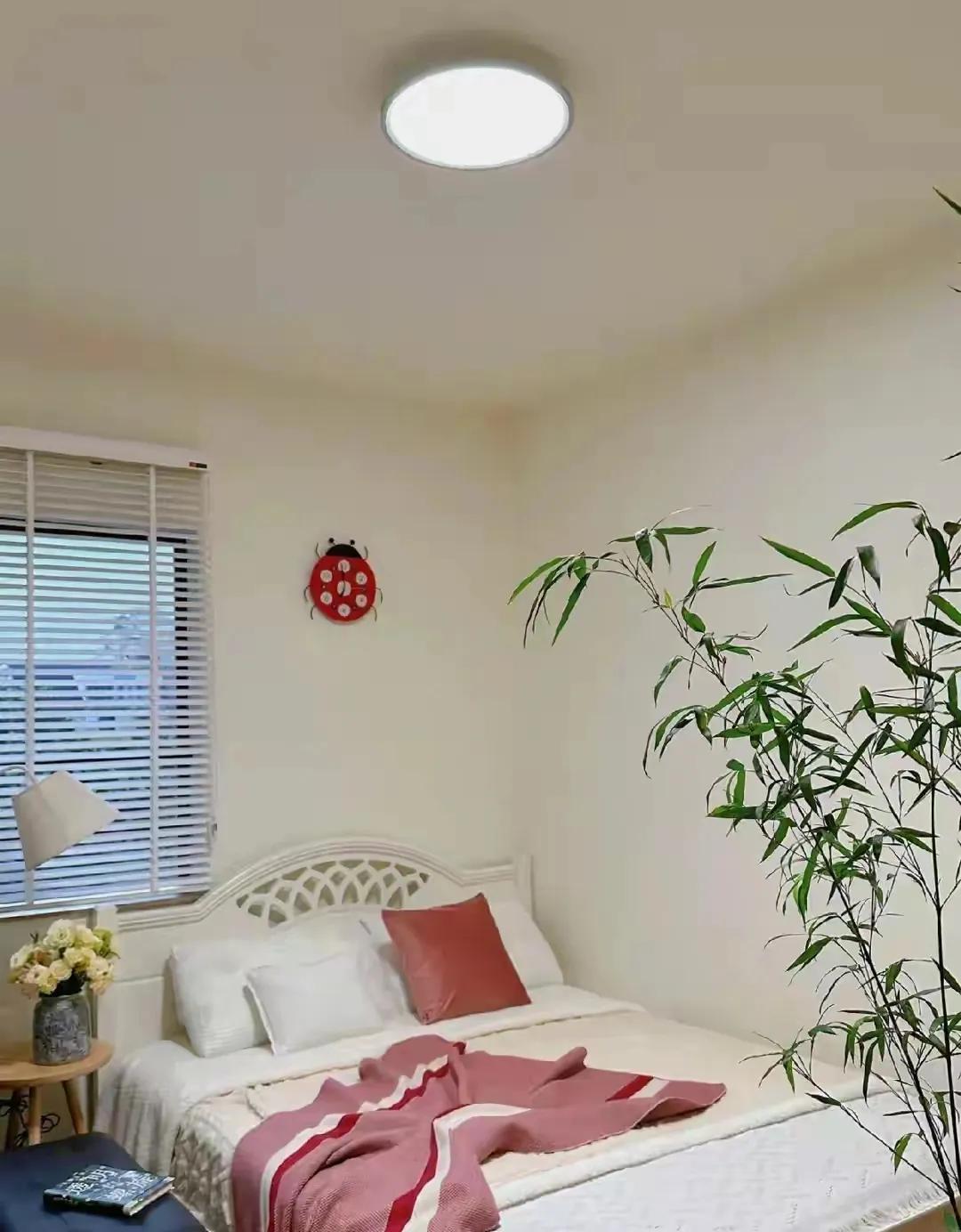 Cặp vợ chồng nghỉ hưu g&acirc;y sốt v&igrave; ng&ocirc;i nh&agrave; sạch đến kh&oacute; tin: Nh&igrave;n căn bếp mới hiểu v&igrave; sao d&acirc;n mạng hỏi &ldquo;c&oacute; thật sự sống ở đ&acirc;y kh&ocirc;ng?&rdquo; - Ảnh 8.