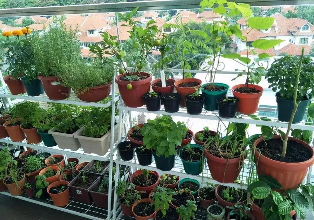 C&ocirc; g&aacute;i sống trong căn hộ chỉ 7m&sup2;: Tận dụng từng centimet, nh&igrave;n c&aacute;ch sắp xếp mới hiểu nh&agrave; nhỏ vẫn c&oacute; thể rất dễ chịu - Ảnh 6.