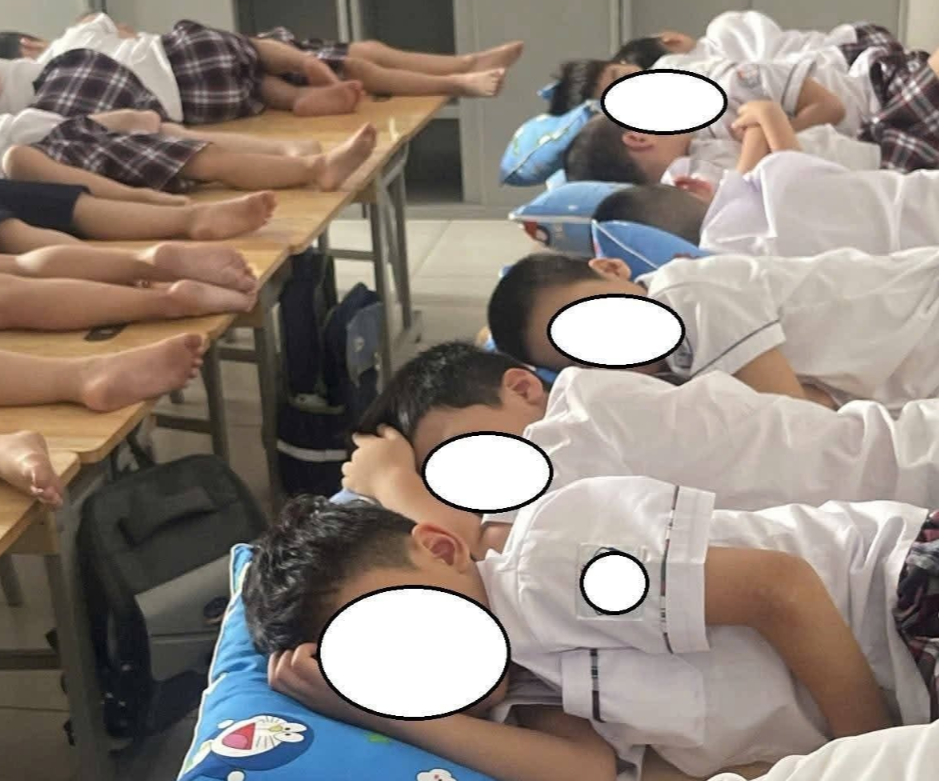  - Ảnh 1.