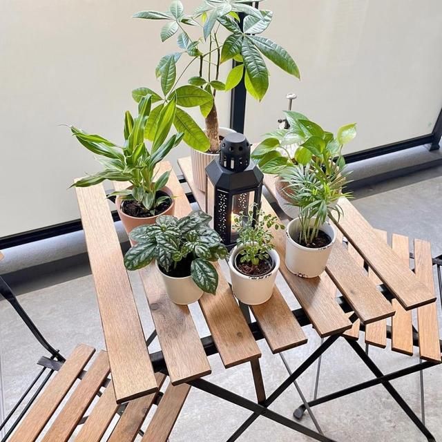 36 tuổi, người phụ nữ sống một m&igrave;nh trong căn hộ 32m&sup2;: Kh&ocirc;ng kết h&ocirc;n, kh&ocirc;ng con c&aacute;i nhưng cuộc sống khiến nhiều người ao ước - Ảnh 13.