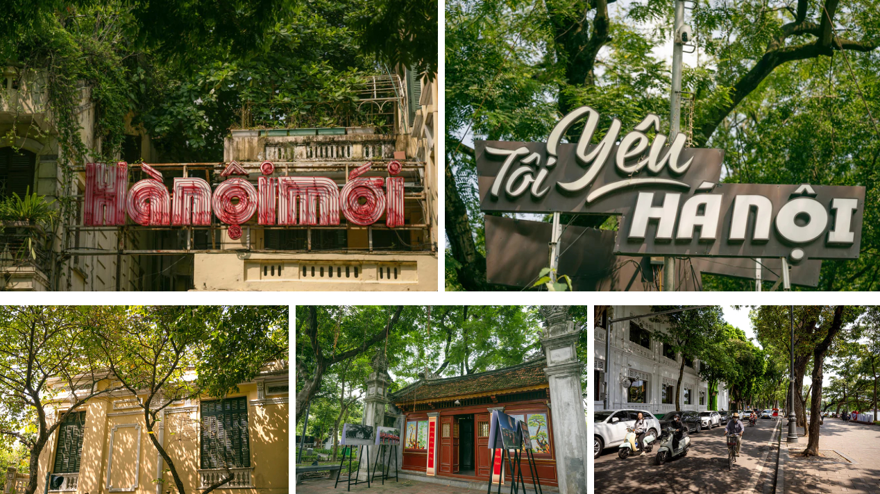 M&ugrave;a thu H&agrave; Nội 2026 mang vẻ đẹp dịu d&agrave;ng v&agrave; sức sống m&atilde;nh liệt của phố phường - Ảnh 13.