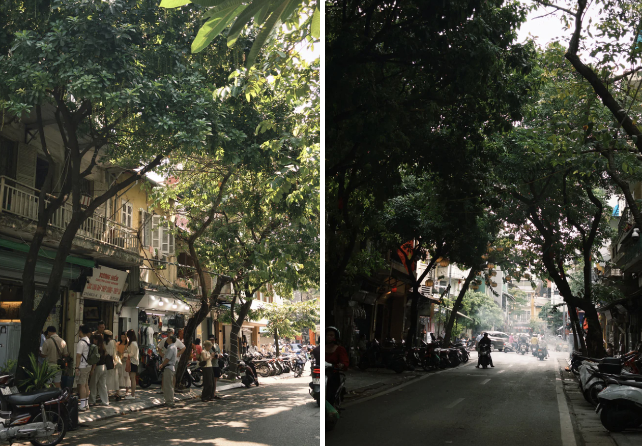 M&ugrave;a thu H&agrave; Nội 2026 mang vẻ đẹp dịu d&agrave;ng v&agrave; sức sống m&atilde;nh liệt của phố phường - Ảnh 11.