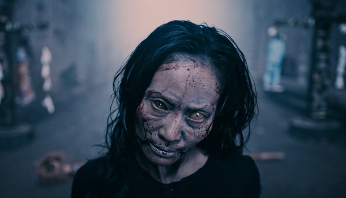  - Ảnh 5.