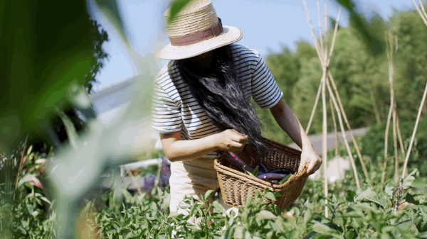 39 tuổi rời th&agrave;nh phố về qu&ecirc;, người phụ nữ tiết lộ mức chi ti&ecirc;u g&acirc;y bất ngờ: Muốn dư tiền, đ&ocirc;i khi kh&ocirc;ng cần kiếm th&ecirc;m - Ảnh 12.