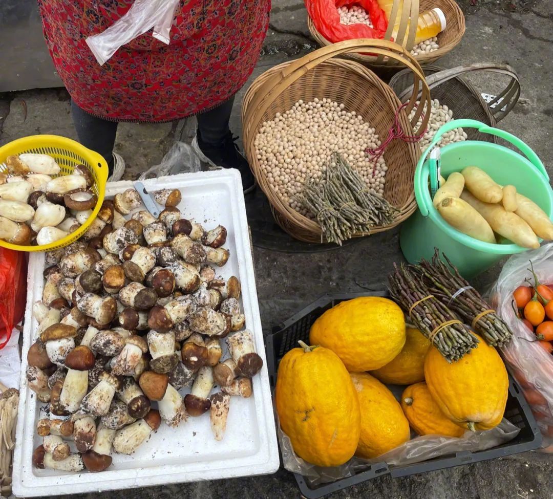 Người đ&agrave;n &ocirc;ng Bắc Kinh bỏ gần 20 tỷ x&acirc;y nh&agrave; dưỡng gi&agrave; cho bố mẹ: Thu&ecirc; đất 30 năm, đổi lại một tuổi gi&agrave; ho&agrave;n to&agrave;n kh&aacute;c - Ảnh 18.