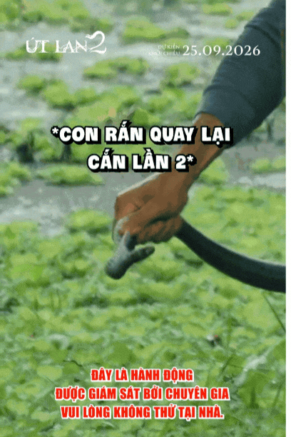  - Ảnh 2.