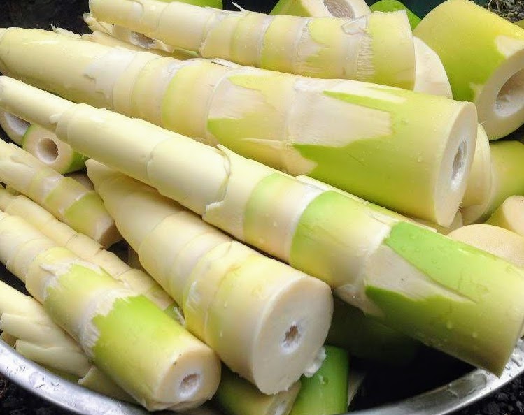 Từ món ăn dân dã đến thực phẩm giàu dưỡng chất: Măng tre có gì mà khiến nhiều người bất ngờ? - Ảnh 4.