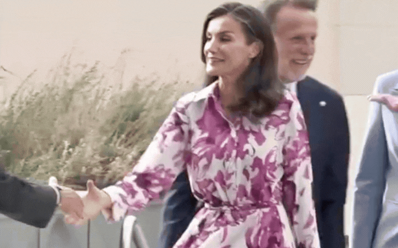 Chiếc v&aacute;y hoa hồng t&iacute;m gi&aacute; 25 triệu của Vương hậu Letizia - Ảnh 5.