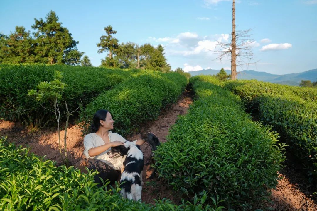 Người phụ nữ 37 tuổi cải tạo căn hộ 45m&sup2; th&agrave;nh nơi ai cũng muốn gh&eacute;: Kh&ocirc;ng điều h&ograve;a, &iacute;t d&ugrave;ng điện thoại, đồ cũ cũng th&agrave;nh đẹp - Ảnh 7.