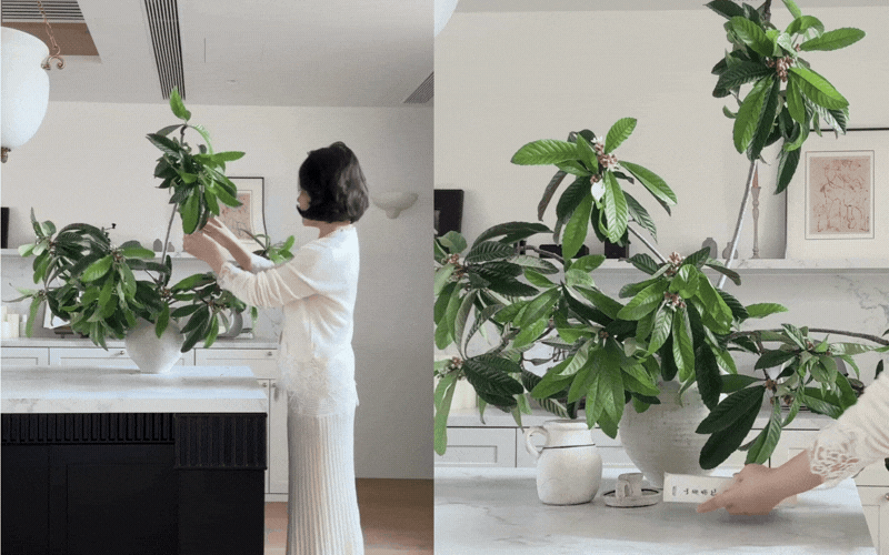Biết tuyệt chiêu cắm hoa này, bạn chẳng cần tốn tiền mua cây: Cành lá ven đường qua tay chủ nhân hóa tuyệt tác!- Ảnh 3.