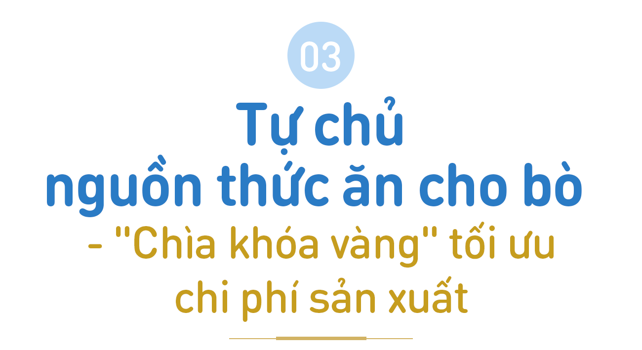 TH g&oacute;p vai tr&ograve; lớn giải b&agrave;i to&aacute;n kh&oacute; của ng&agrave;nh sữa Việt: Tự chủ giống b&ograve; sữa v&agrave; nguy&ecirc;n liệu - Ảnh 8.