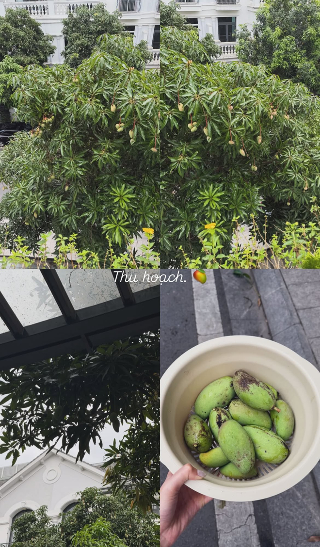 T&agrave;i sản hiện tại của Đo&agrave;n Văn Hậu v&agrave; Do&atilde;n Hải My: Biệt thự sang trọng tại H&agrave; Nội năm 2025 - Ảnh 13.