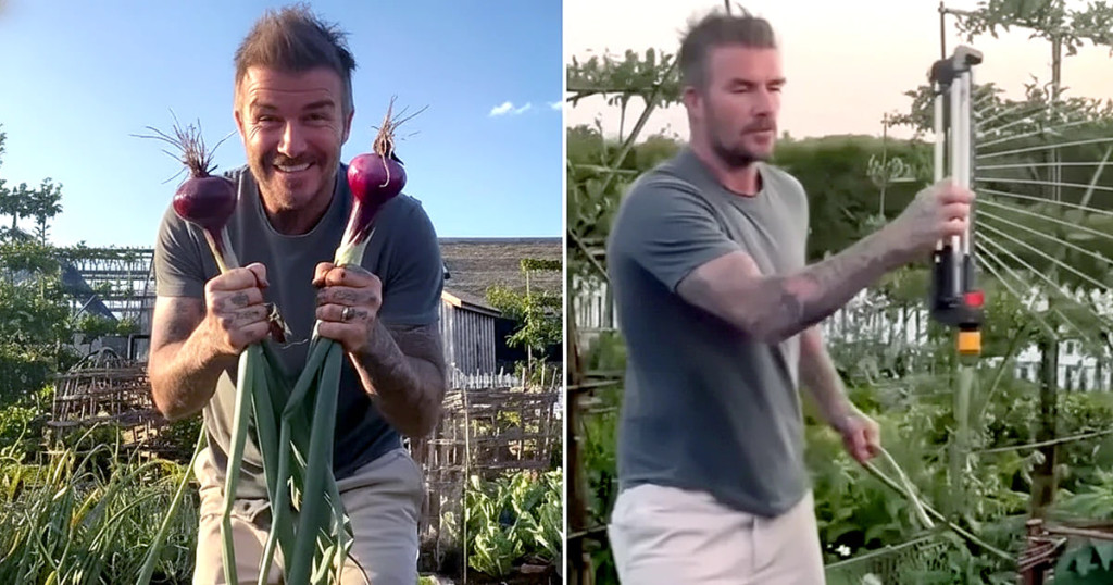 David Beckham v&agrave; trang trại nu&ocirc;i g&agrave; 100 . 000 M2 Tại Cotswolds năm 2026 - Ảnh 6.