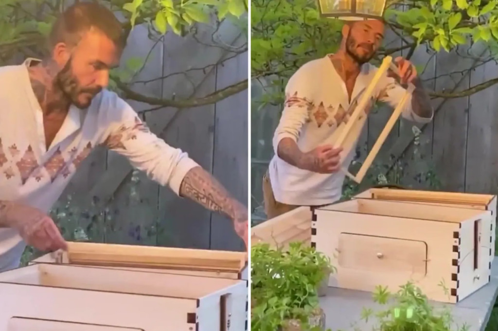 David Beckham v&agrave; trang trại nu&ocirc;i g&agrave; 100 . 000 M2 Tại Cotswolds năm 2026 - Ảnh 11.